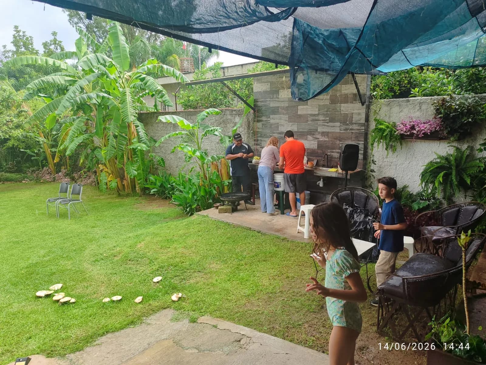 Convivencia en el jardín